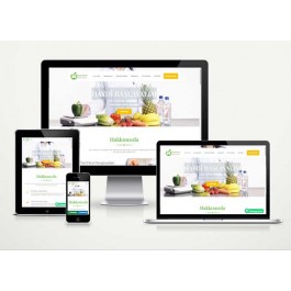 Diyetisyen Web Site Paketi Nutri v5.0